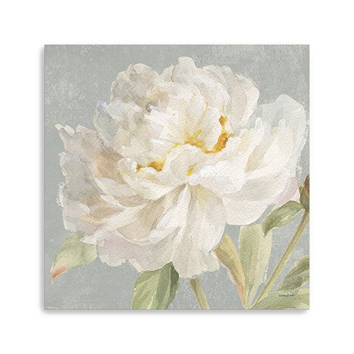 Angelic White Peony Flower Unframed Print Wall Art - 99fab 