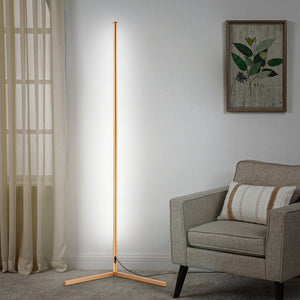 RGBCW Golden Corner Floor Lamp-1