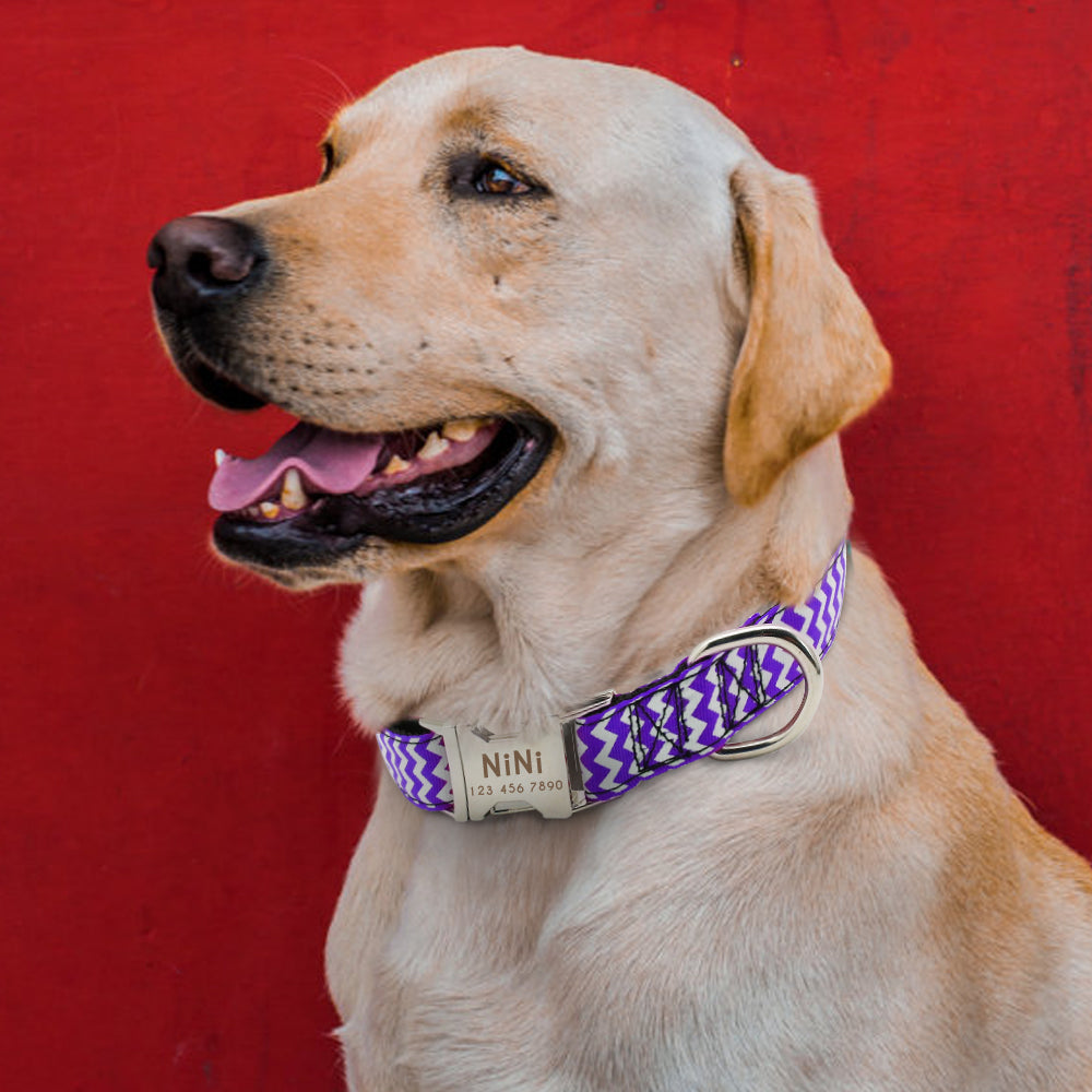 Dog Collar Nylon Personalized Engraved ID Tag AntiLost Adjustable Collars - pet - 99fab.com